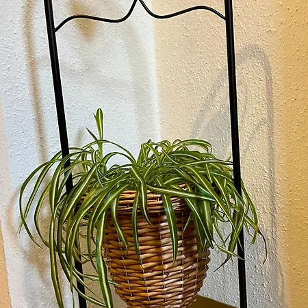 Haus Groeblacher Майргофен