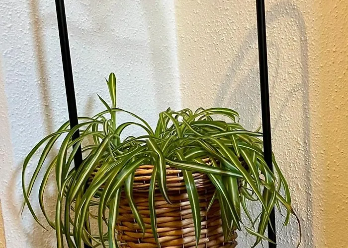 Haus Groeblacher Mayrhofen